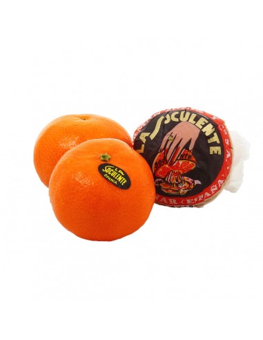 Mandarine Soculente