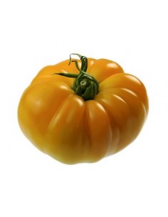 Tomate Ananas