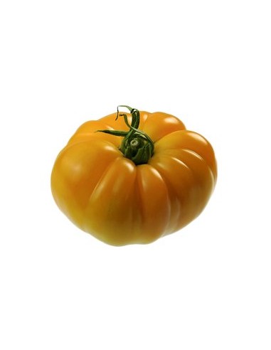 Tomate Ananas