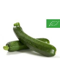 Courgette BIO