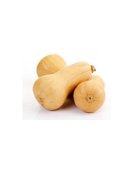 Butternut