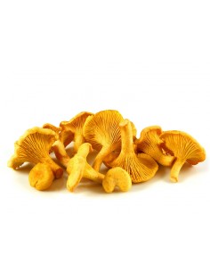 Girolles