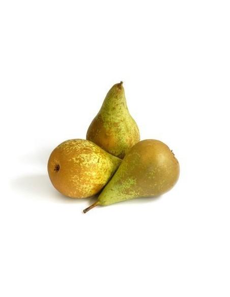 Poire Conférence