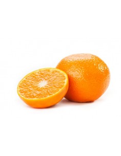 clementine-orri.jpg