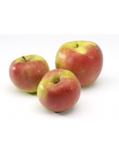Pomme Jonagold