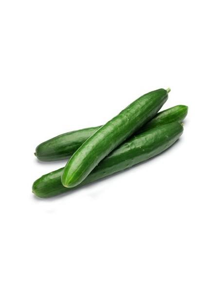 Concombre
