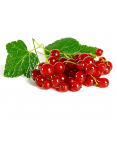 Groseilles