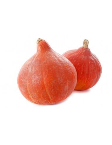 Potimarron