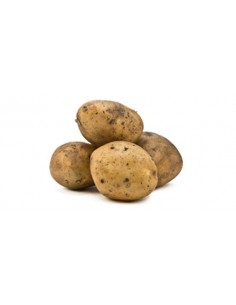 Pomme de terre Trésor - type Bintje