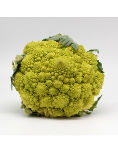Chou romanesco