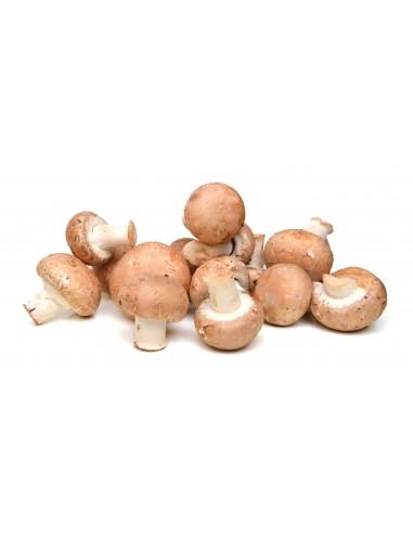 Champignons rosés