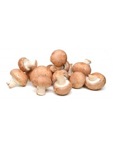 Champignons rosés