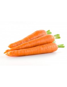Carottes (lavées)
