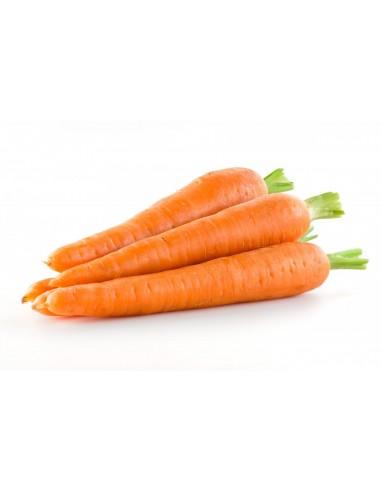 Carottes (lavées)