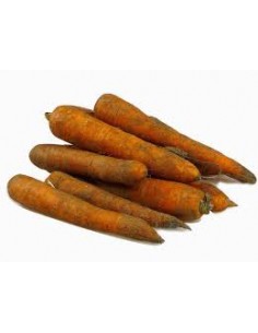 carottes-de-sable.jpg