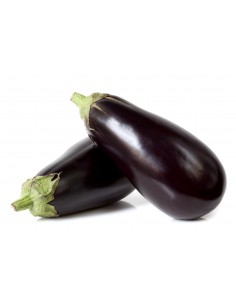 Aubergine