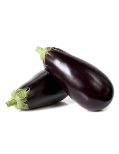 Aubergine