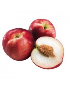 Nectarine Blanche