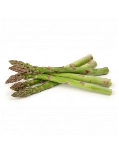 Asperge verte