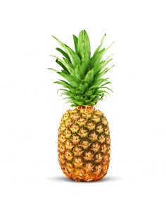 Ananas (Avion)