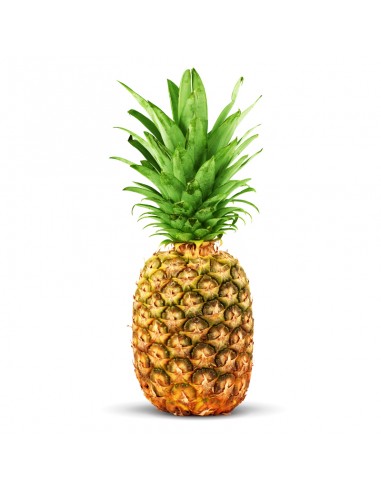 Ananas (Avion)