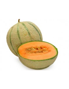 Melon