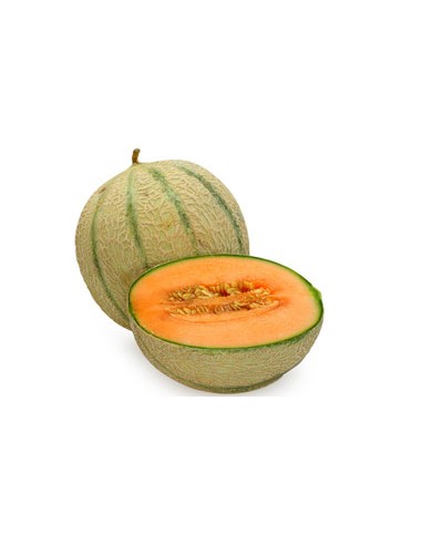 Melon