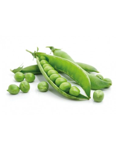 Petit Pois