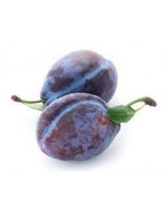 Prune Quetsche