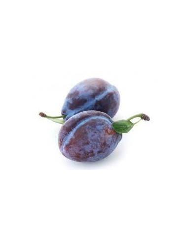 Prune Quetsche
