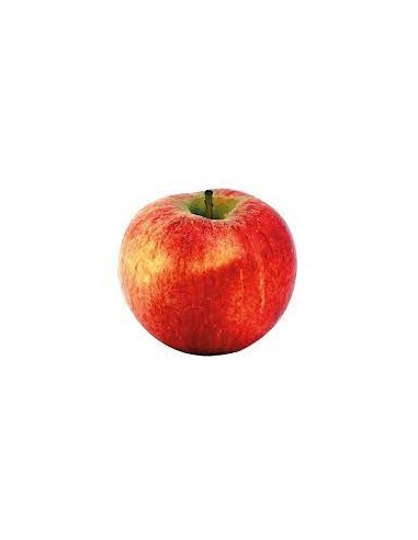 Pomme Elstar