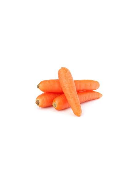 Carottes BIO
