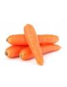 Carottes BIO