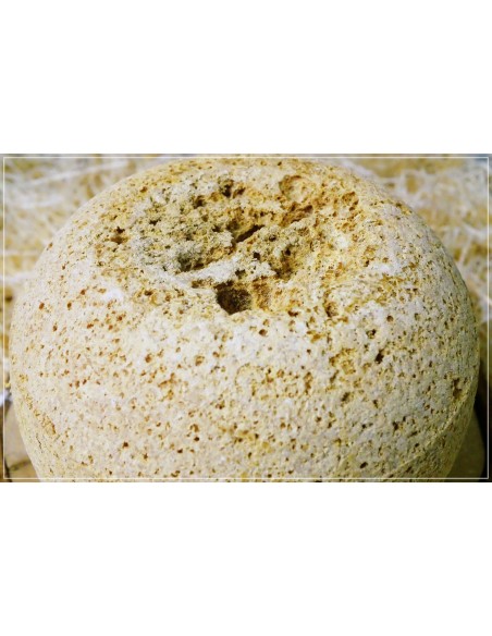 Mimolette Losfeld extra vieille 24 Mois