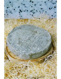 Saint Nectaire fermier 2