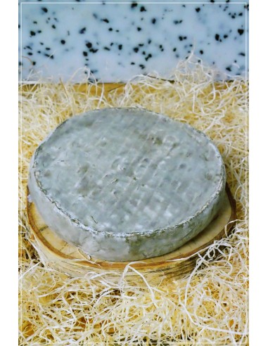 Saint Nectaire fermier