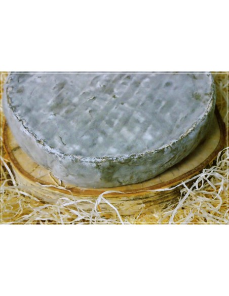 Saint Nectaire fermier