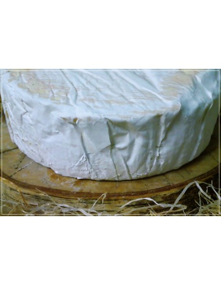 Delice de Bourgogne