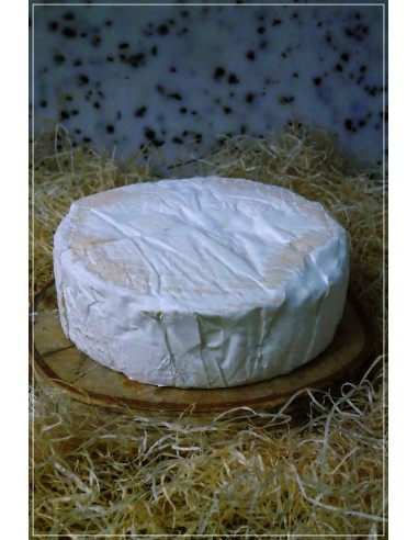 Delice de Bourgogne