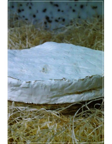 Brie de Meaux