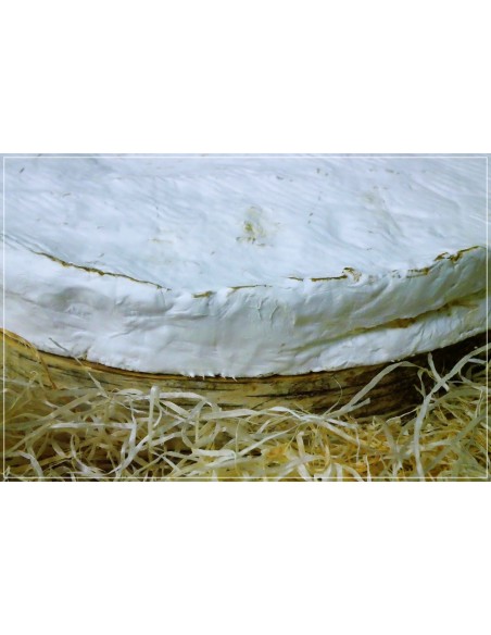 Brie de Meaux