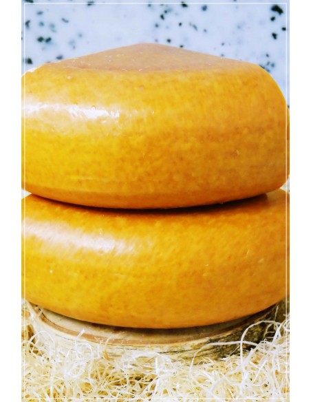 Gouda cassant