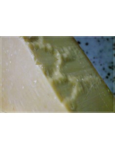 Parmesan ( parmigiano reggiano) 2