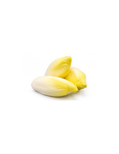 Endive