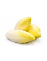 Endive