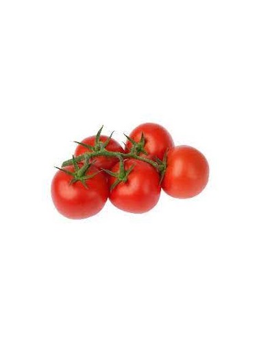 Tomate grappe