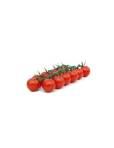 Tomate cerise grapette