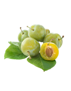 Prune Reine Claude de "Bavay"