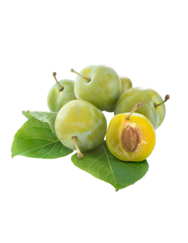 Prune Reine Claude