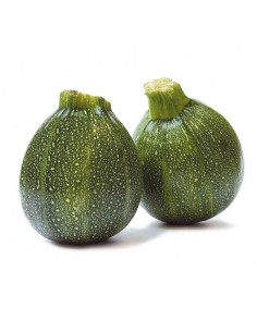 courgette-ronde.jpg